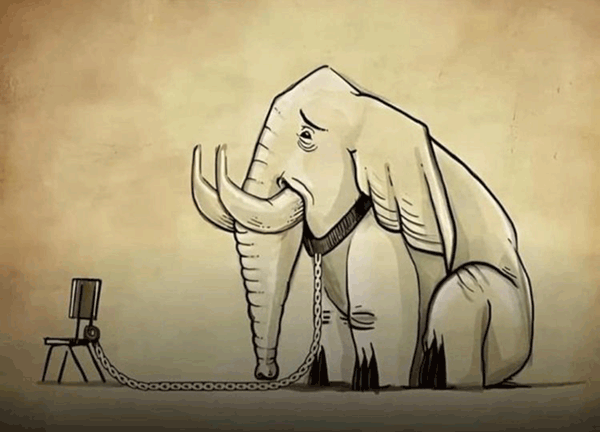 Indefensión Aprendida